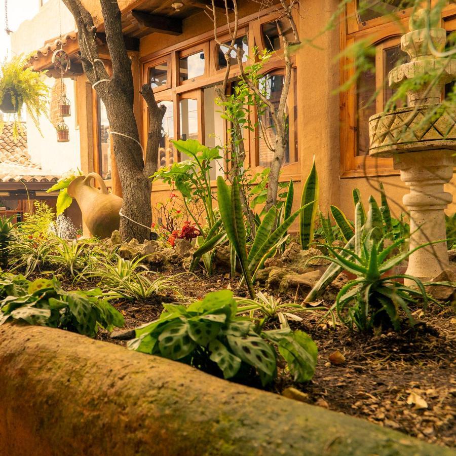 Hospedaje Boutique Paz Creativa San Cristóbal de Las Casas Zewnętrze zdjęcie